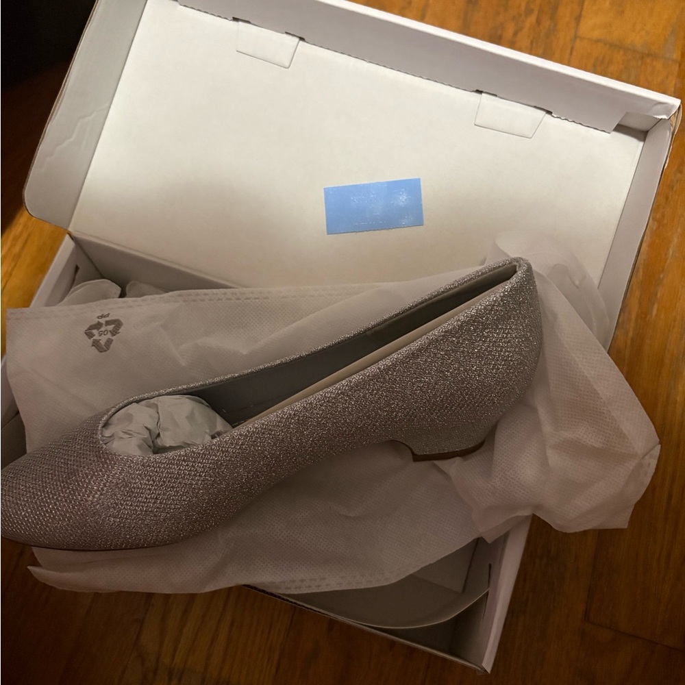 Elegant Silver Women's Shoes